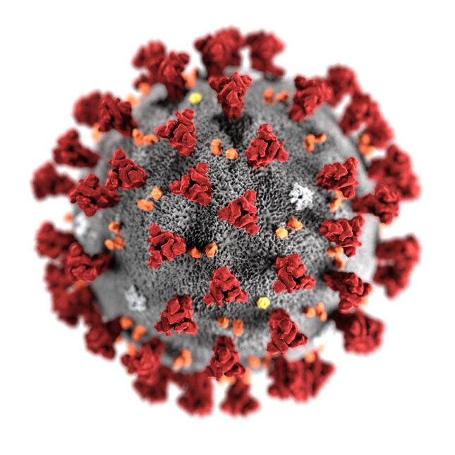 Coronavirus-CDC-645x645 Coronavirus-CDC-645x645